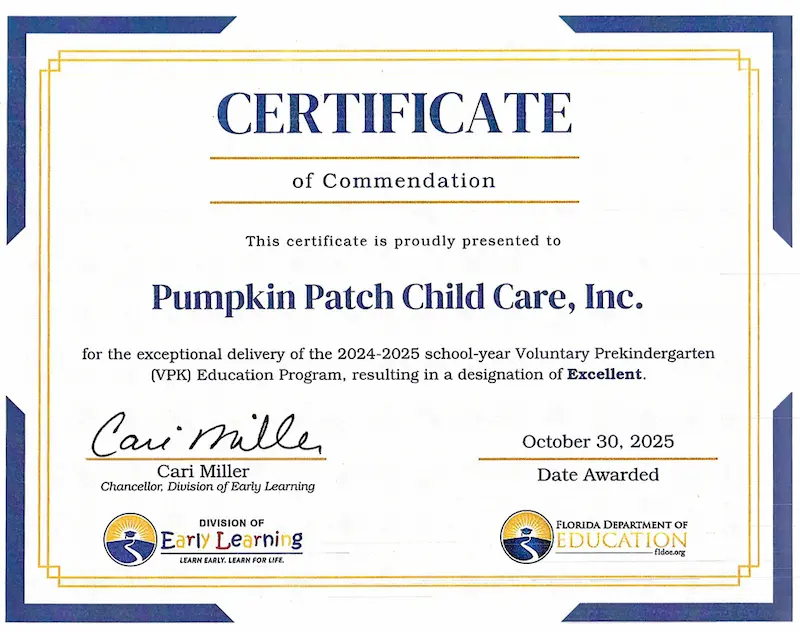 VPK Certificate of Excellence